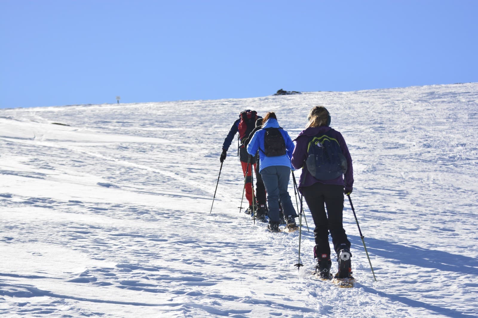 Excursión de Raquetas de Montaña